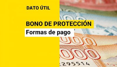 Bono de Protección: ¿Cómo se paga el beneficio para dueñas de casa que se extiende por dos años?