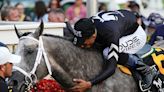 Preakness champ Seize the Grey likely to enter Belmont at Saratoga | Chattanooga Times Free Press