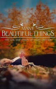 Many Beautiful Things