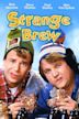 Strange Brew