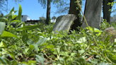 Historic African American cemetery reopens after renovations in Hagerstown