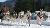 Michigan Sled Dog Races Canceled Due To Freezing Rain, Lack of Snow