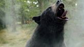The True Story Behind ‘Cocaine Bear’: A 175-Pound Beast, a Dead Drug Smuggler in Gucci Loafers and More