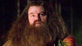 Harry Potter Actor Robbie Coltrane Dead at 72