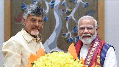 Why Did Naidu Meet Modi?