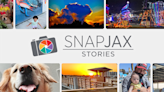 SnapJAX Stories: The enchanting world of butterflies and birds in Fernandina Beach