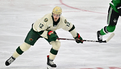 Iowa Wild Forward Signs with Manitoba Moose