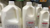 Bird flu outbreak in dairy cows fails to deter US raw milk sellers