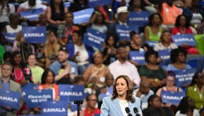 La candidatura de Kamala Harris impulsa el registro de votantes latinos jóvenes - El Diario NY