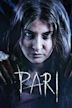 Pari (2018 Indian film)