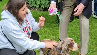 Former Blue Peter presenter acts as celebrity judge at dog show