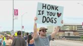 Animal advocates call for leadership change at Austin Animal Center