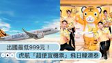 出國最低999元！台灣虎航推「超便宜機票」飛日韓澳、泰國等5地都有促銷