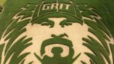 How a Michigan farm has transformed a corn field into a Lions-inspired work of art