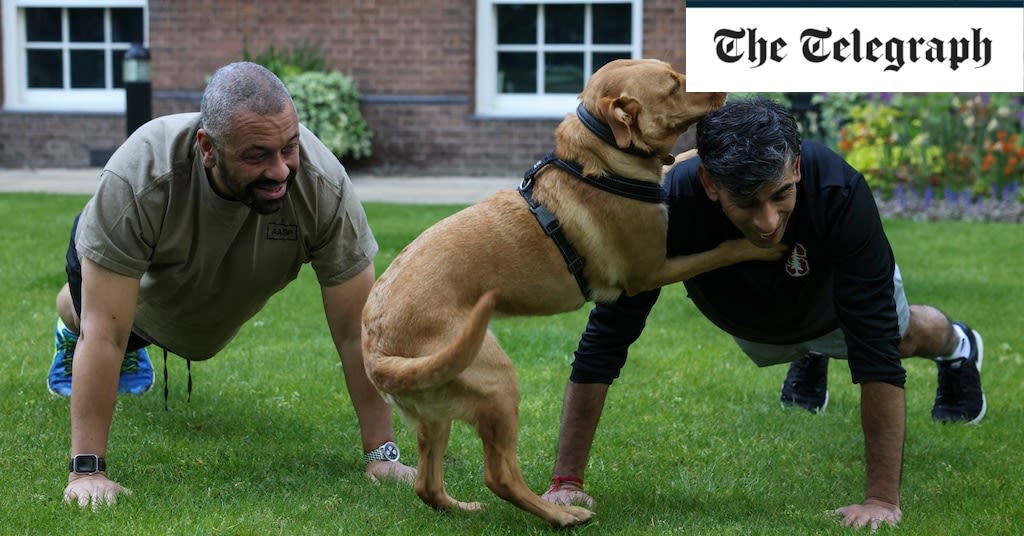 Rishi Sunak joins James Cleverly in press-ups challenge – but falls short