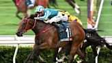 Romantic Warrior Reigns Supreme in Hong Kong