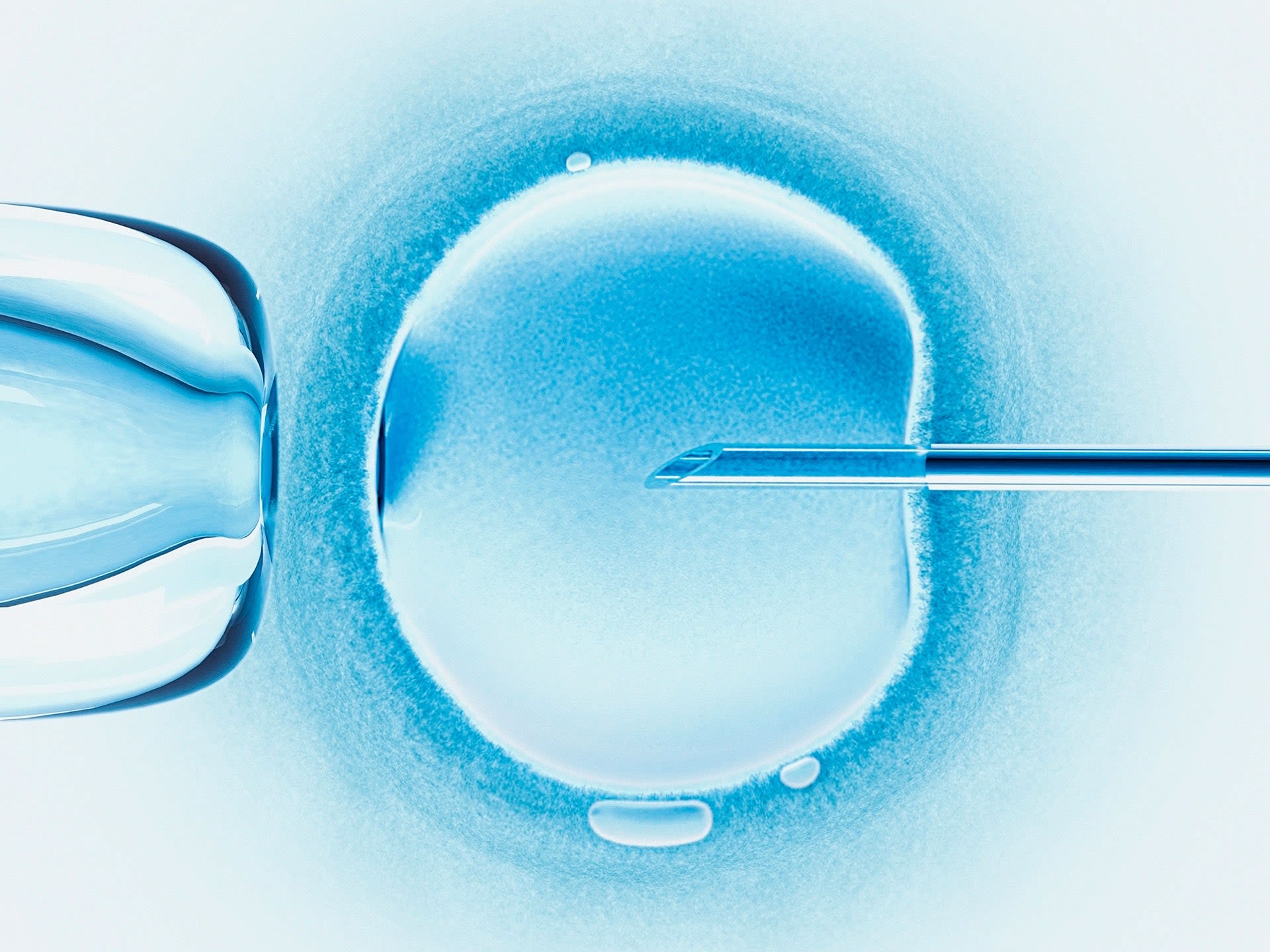 A Gay Couple Is Suing New York City Over IVF Denial