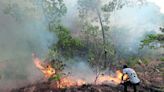 SSEM aclara video viral sobre incendio en Cerro Cuauhtenco