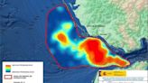 Recomendaciones en caso de avistamiento de orcas en el Golfo de Cádiz