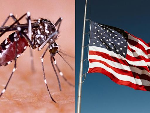 Estados Unidos alerta por amenaza de dengue