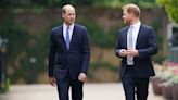 Harry 'privately expressed' his wish to speak to William but 'now not the time'