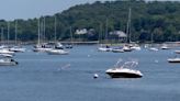 Oyster Bay may change town code to protect shellfish zones and rebuild oyster, clam populations