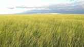 The Government of Mongolia and The Nature Conservancy Secure ‘Eternal Mongolia’, a Pathway to Achieve the Nation’s Climate...