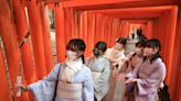 外國觀光客最愛的「日本10大神社」 明治神宮只輸給它