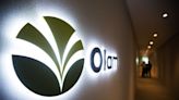 Olam Ups Offer for Namoi Cotton, Days After Latest LDC Bid