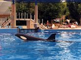 SeaWorld Ohio