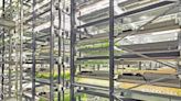 Bowery opens a new vertical farm in Pennsylvania