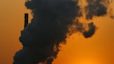 Climate target group in turmoil over carbon offsetting plan