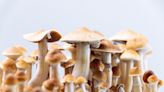 Psilocybin May Help Treat Alcohol Addiction, Study Shows