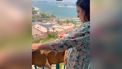 Video Of Indian Woman Drying Clothes On Balcony Of Dubai Hotel Divides Internet