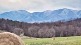 How To Spend A Winter Weekend In Virginia’s Blue Ridge Mountains