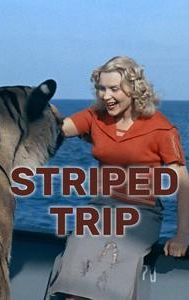 Striped Trip