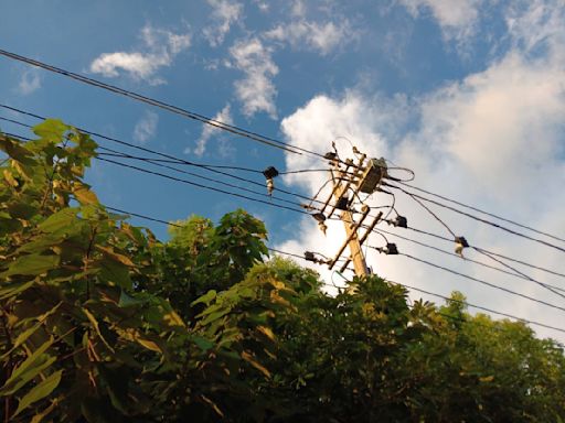 桃園連3天停電 線路遭雷擊影響1111戶