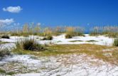 Anna Maria Island