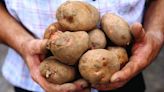 Ireland facing higher potato prices as stocks "running extremely tight"