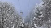 Cable car knocked to ground by falling tree in Austrian ski resort