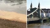 Rowing clubs cancel training after Boat Race as 'human excrement' in the Thames