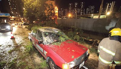 黃雨傳落雹 冧樹砸的士困3人 - 20240501 - 港聞