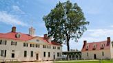 Perfectly Preserved Centuries-Old Cherries Unearthed At Mount Vernon | Talk Radio 98.3 WLAC