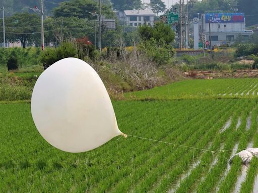 Corea del Sur denunció que el régimen de Kim Jong-un reanudó el envío de globos con basura hacia su territorio