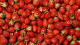 Wild Vs Store-Bought Strawberries: What's The Difference?