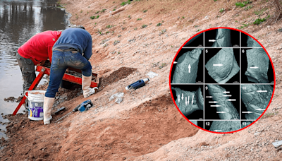 El increíble hallazgo de restos fósiles humanos en Sudamérica que revelaría quiénes llegaron primero al continente americano