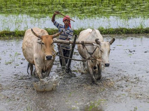 Monsoon covers entire country 6 days ahead of normal date