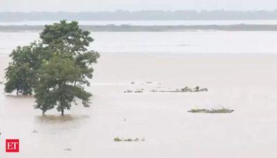 Assam flood situation grim, nearly 23 lakh people affected in 28 districts - The Economic Times