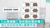 【日網爆紅心理測驗】你近期狀態好嗎？憑直覺選擇一隻貓咪，測出你目前狀態&真實性格 - 通通 鬆一鬆 - 吃喝玩樂 - 生活 - etnet Mobile|香港新聞財經資訊和生活平台