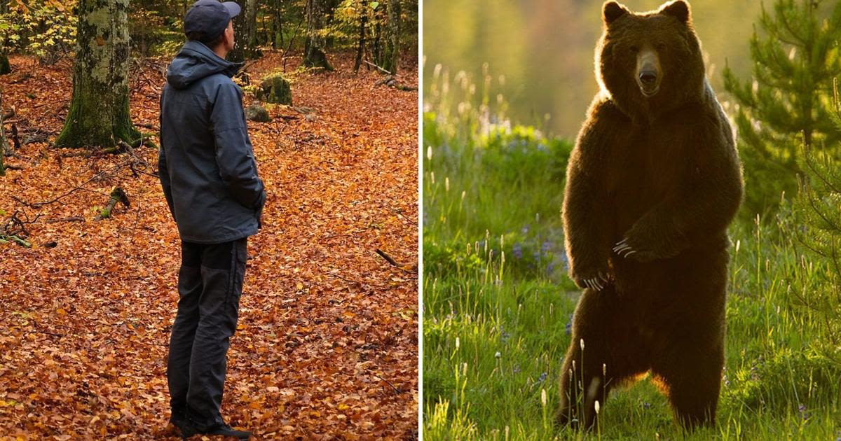 Man or bear? A viral question has spawned scary responses